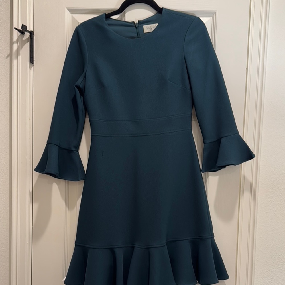 Blue Fit and Flare Dress with Ruffled Bell Sleeves